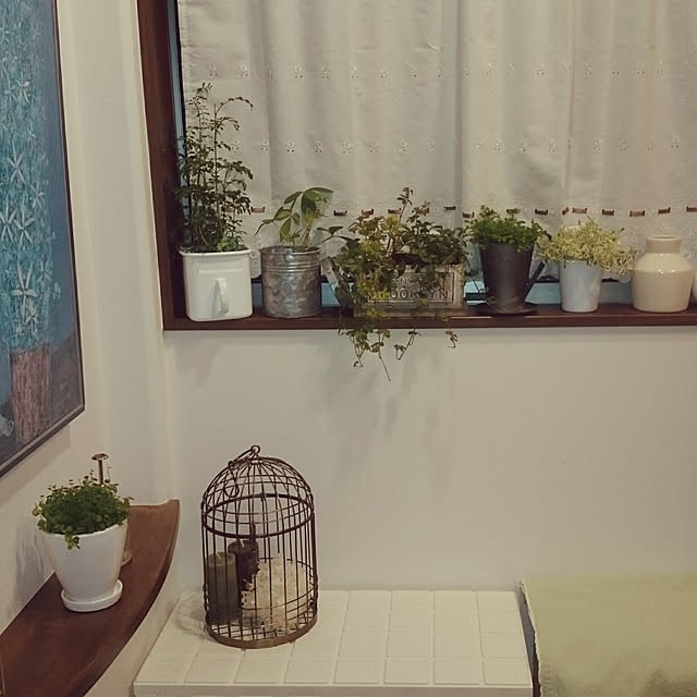 nissyさんの実例写真