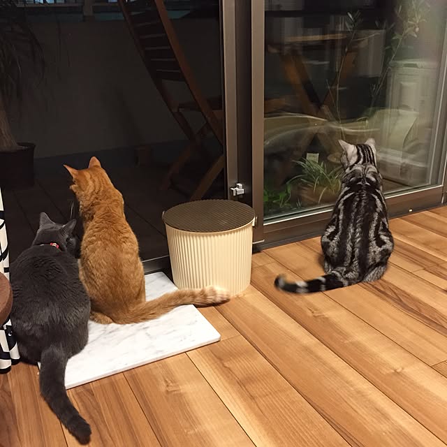 Ryokoさんの実例写真