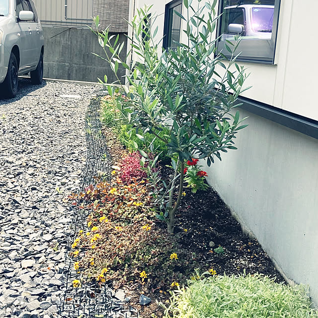 amyさんの実例写真