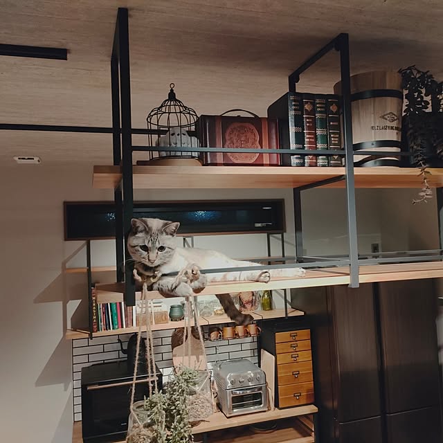 Atelier_tamakiさんの部屋