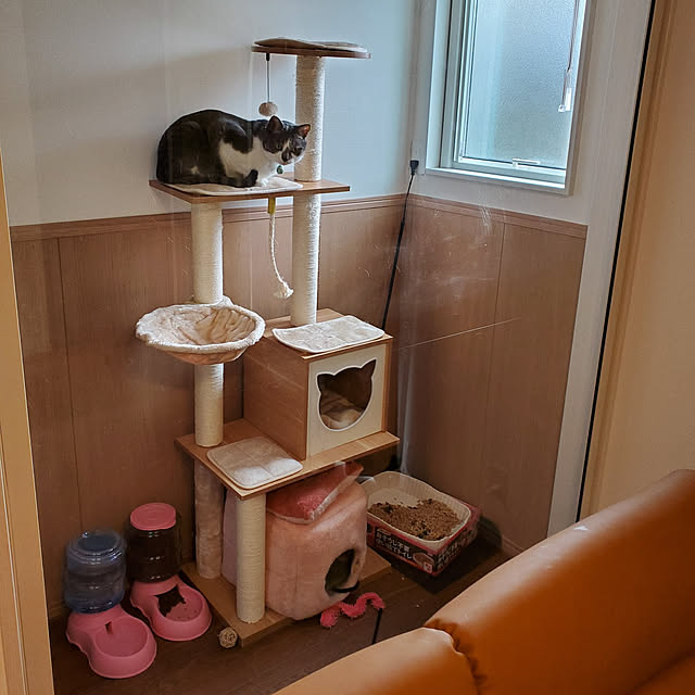 リビング/ねこと暮らす。/猫/ねこのいる日常のインテリア実例 - 2021-02-05 23:25:18