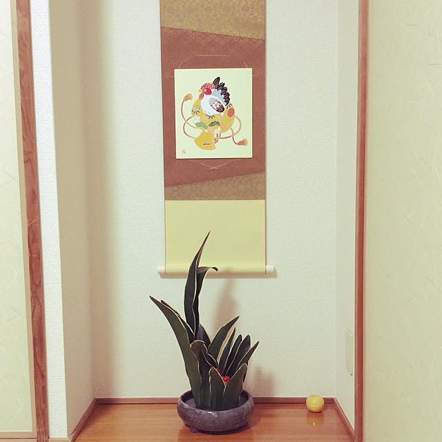 cinacoさんの実例写真