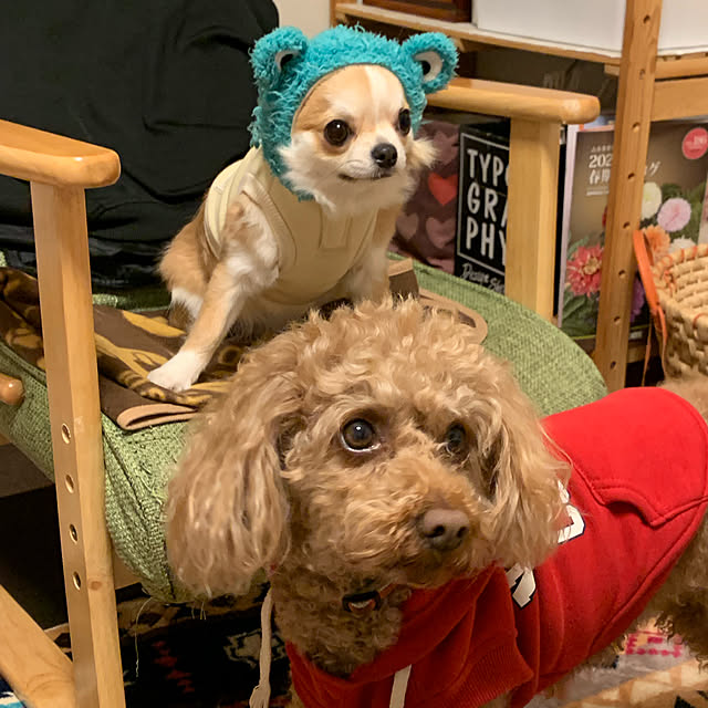 moko7ruiさんの実例写真