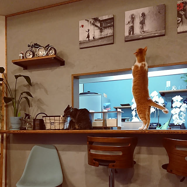 taka-kiさんの実例写真