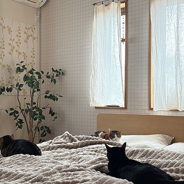 puu.tuuliさんの部屋