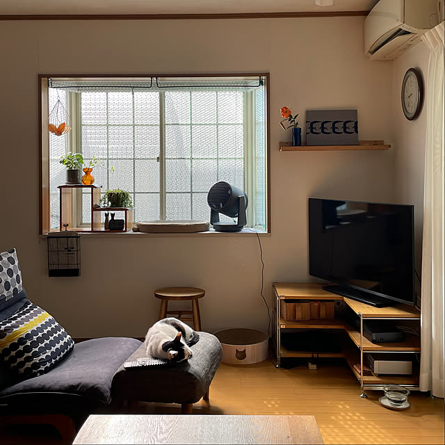 nobikoさんの部屋