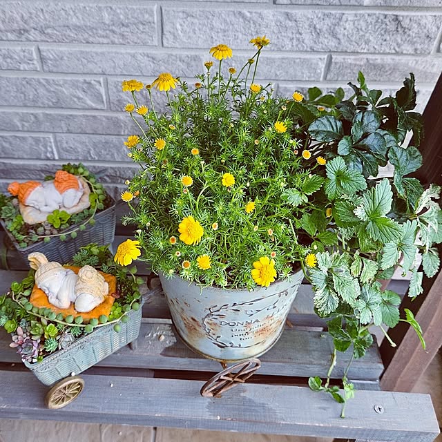 mocomocoさんの部屋