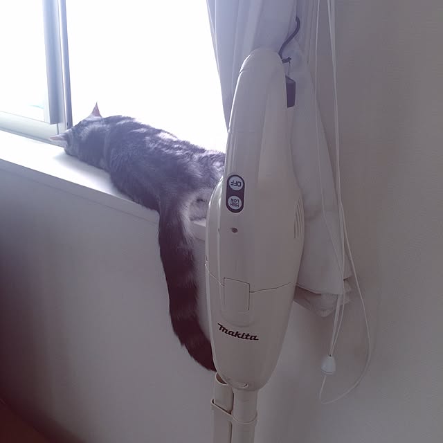 mikomaruさんの実例写真