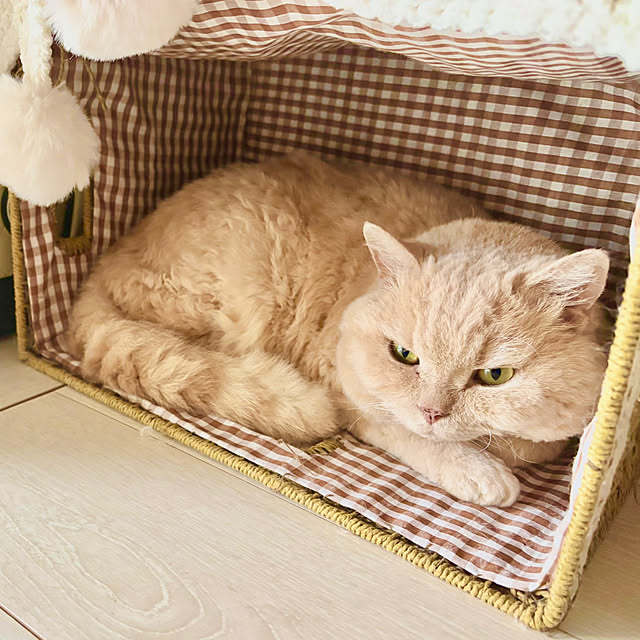 naokoさんの部屋