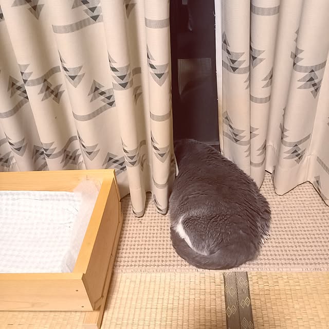 rhuさんの実例写真