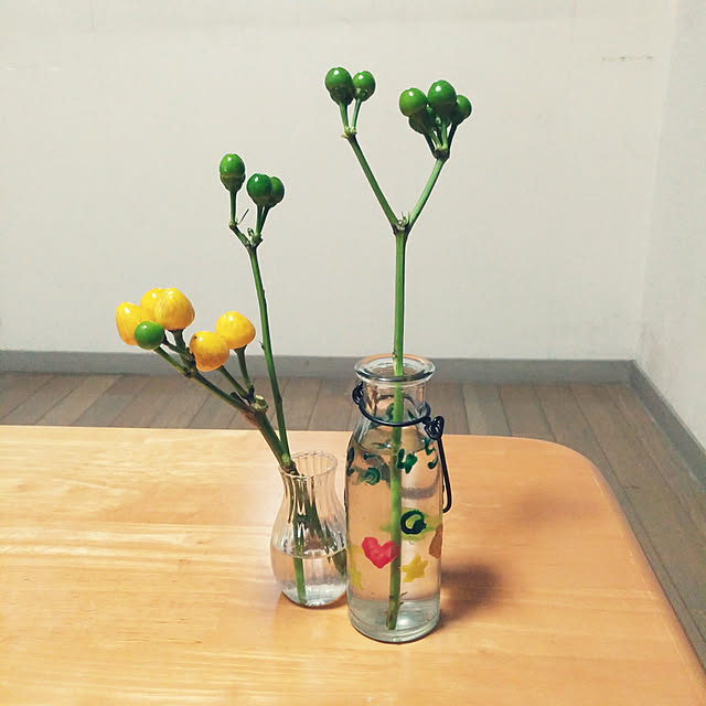 wvo_ovwさんの実例写真