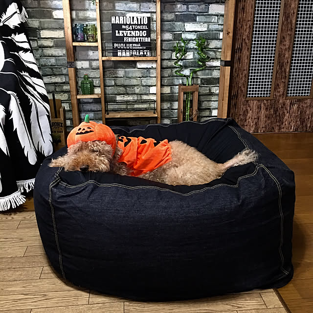 ronmaruさんの実例写真