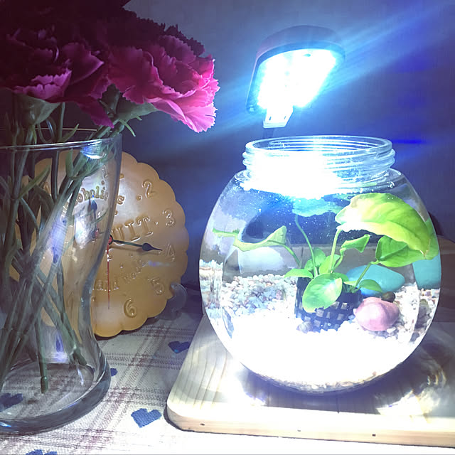 mintteaさんの実例写真