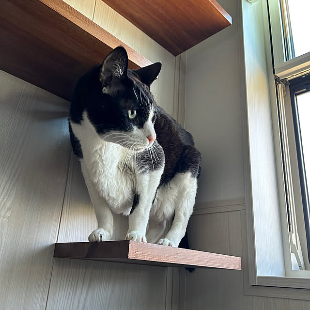 mikeume7さんの部屋