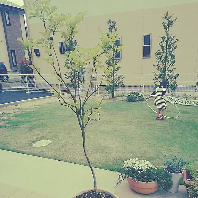 Masamiさんの実例写真