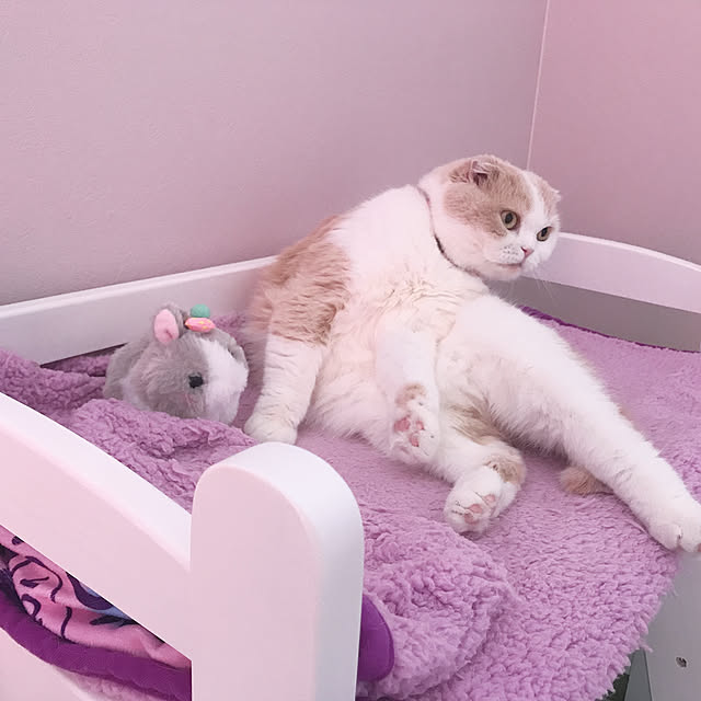 Madokaさんの実例写真