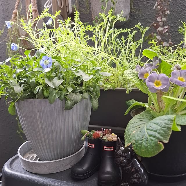 noaさんの実例写真