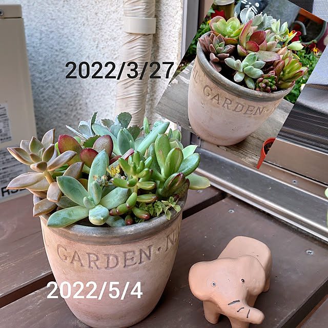 fukuさんの実例写真