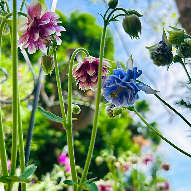 sunabaさんの部屋