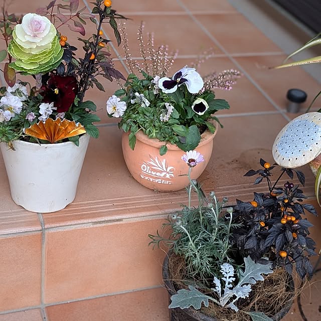 Meguさんの実例写真