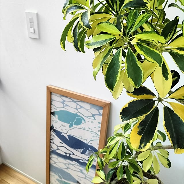 Rieさんの部屋