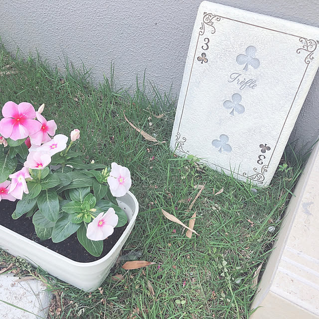 mana1229yuinaさんの実例写真