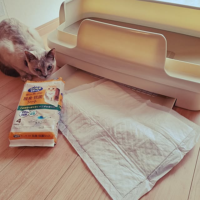 kiyohima229さんの実例写真