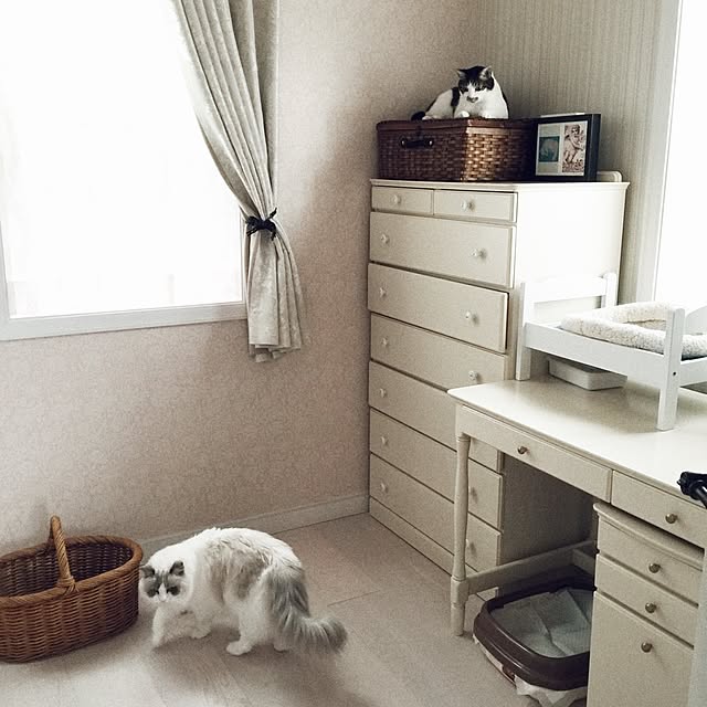 yuchiさんの実例写真
