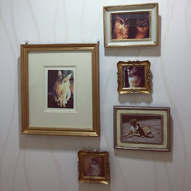shihoさんの実例写真