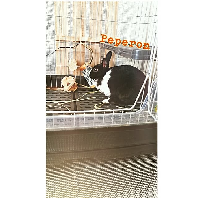 peperonさんの実例写真