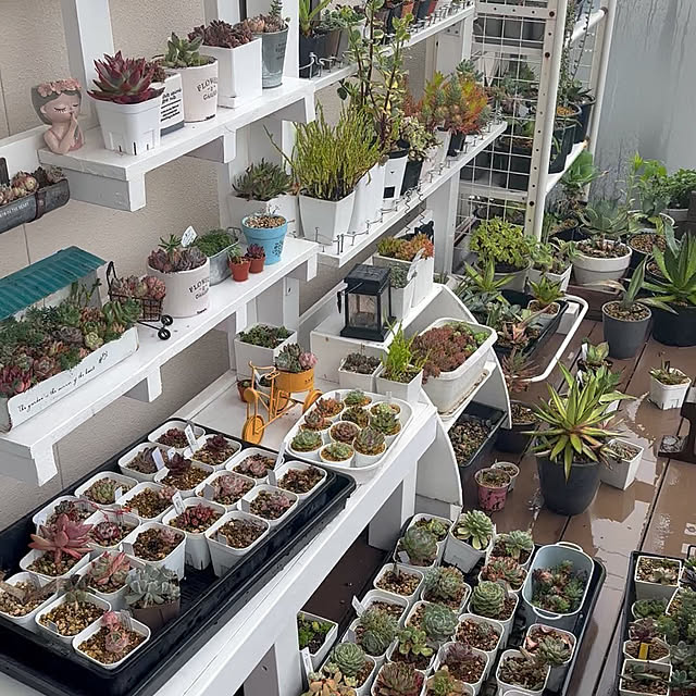 yaiyaiさんの実例写真