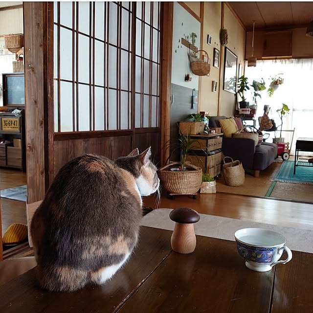 fukuさんの部屋