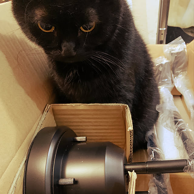 mecchaさんの実例写真