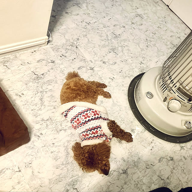 MOMOMAMAさんの実例写真