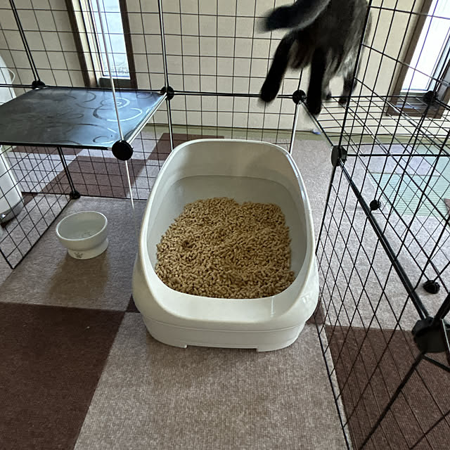 yunyumさんの部屋