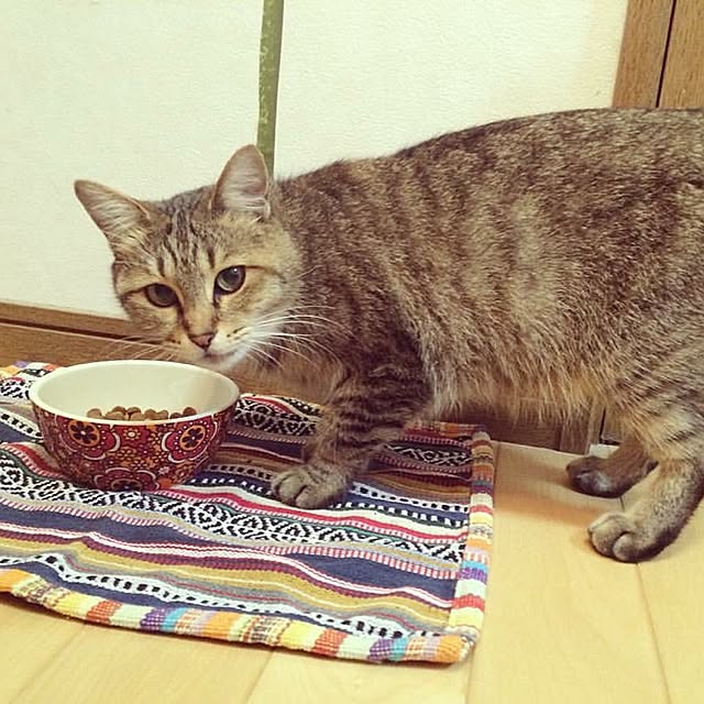 Aikoさんの実例写真