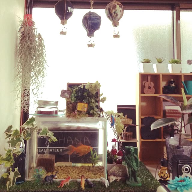 onokenkoさんの実例写真