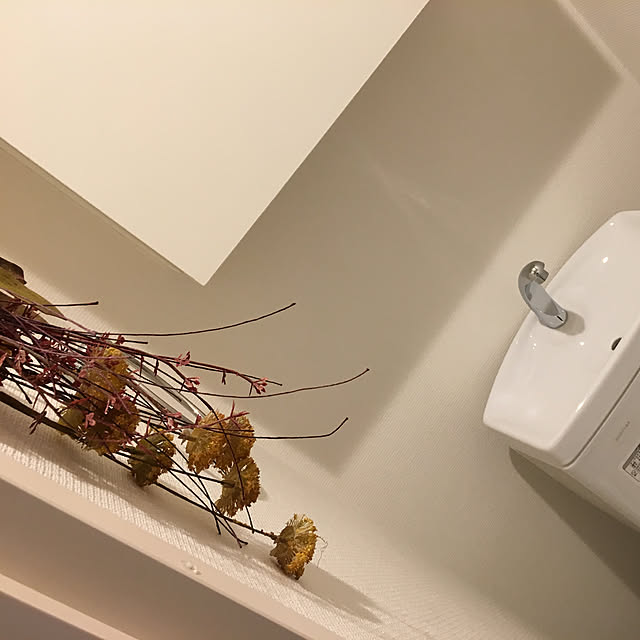 Momoさんの実例写真