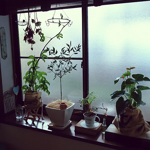maki_noさんの実例写真