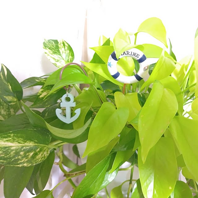 katさんの部屋
