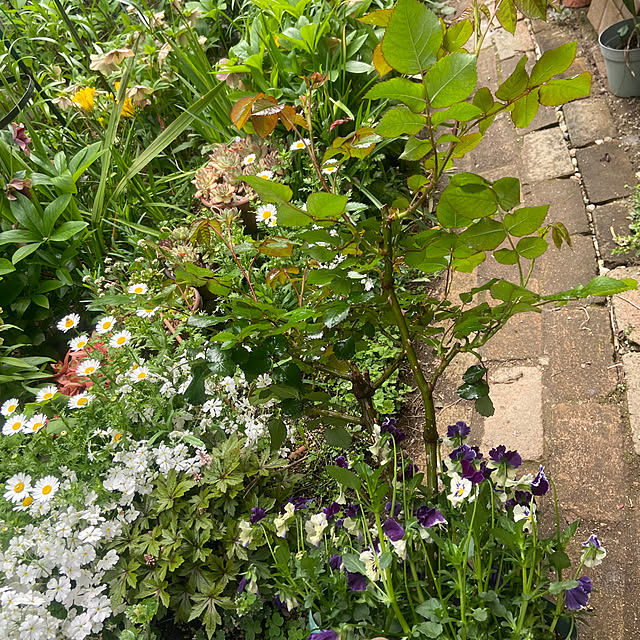 na-chanさんの部屋