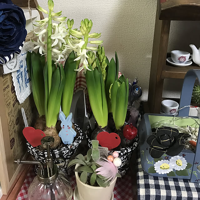 makiさんの実例写真