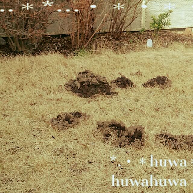 huwahuwa.mokumokuさんの実例写真