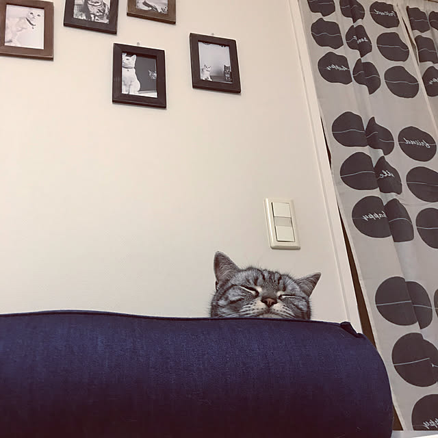 hiyupan88さんの実例写真