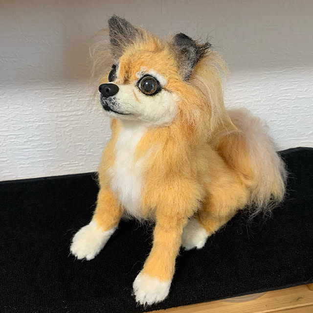 toytoypoohさんの実例写真