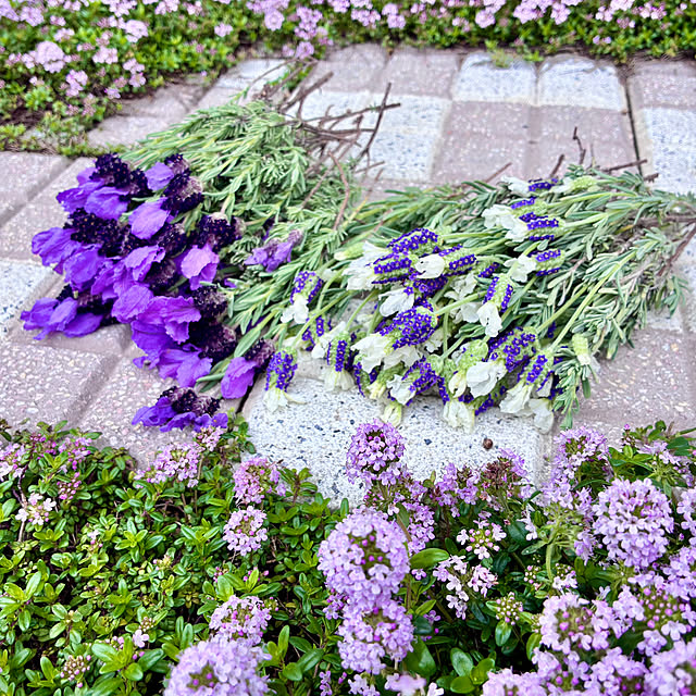 Junさんの実例写真