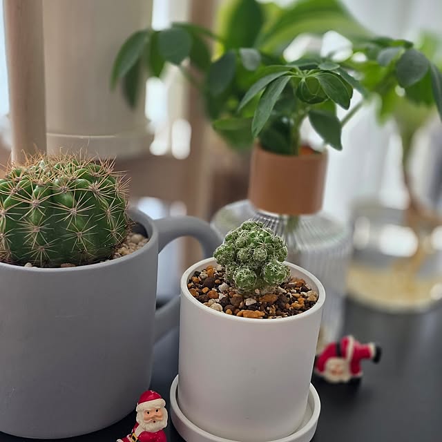 mint_greenさんの実例写真