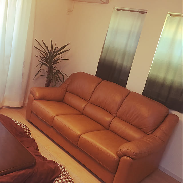 Harukoさんの実例写真