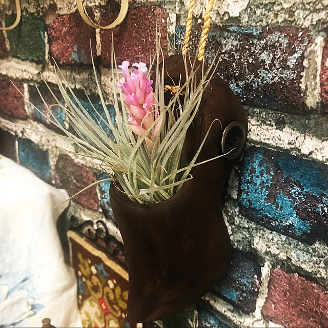 chyocoron37さんの実例写真