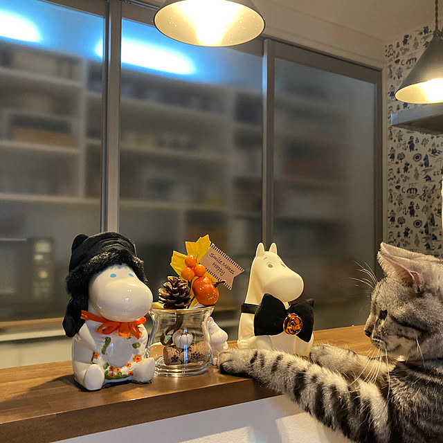 mkmkmoominさんの部屋
